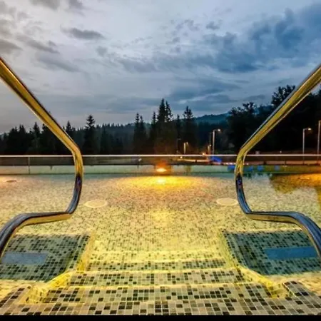 Luxury Silver Mountain View Appartement *