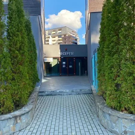 Luxury Silver Mountain View *