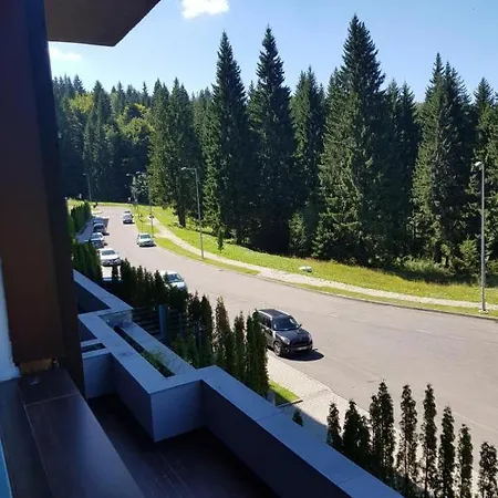 Luxury Silver Mountain View Appartement